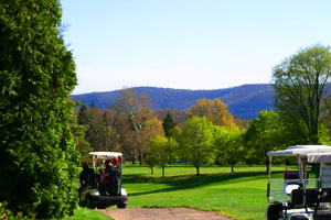 Waverly NY golf course