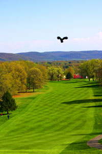 Waverly NY golf course